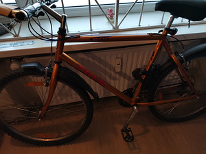 Jälgrattas TREK Sport 800 //39177 (1 foto / 2)