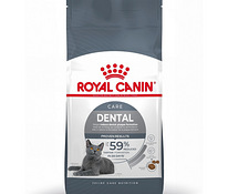 Royal Canin Dental Care hambakivivastane kassitoit 8kg