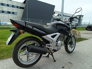 Honda CBX 250, A2 (6 foto / 8)