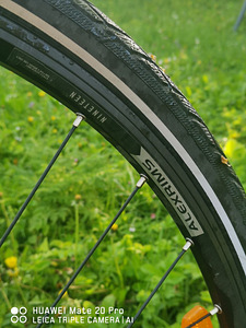 Marin, 24 käiku, hüdraulilised pidurid (4 foto / 8)