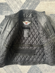 Harley Davidson Sõidutagi M (5 foto / 10)