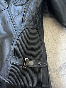 Harley Davidson Sõidutagi M (8 foto / 10)