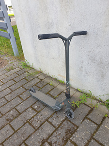 Trik tõukeratas (6 foto / 7)