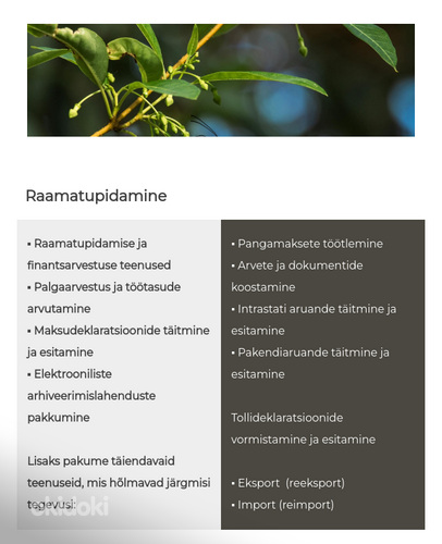 Raamatupidamine ja tollivormistus (postipakid, eksport, imp)