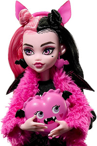 MONSTER HIGH Puppen- und Übernachtungszubehör (2 foto / 5)