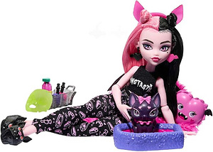 MONSTER HIGH Puppen- und Übernachtungszubehör (4 foto / 5)