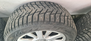 Продаются оригинальные шипованные колёса Audi (4 фото из 4)
