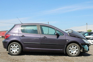 PEUGEOT 307 2001—2005 1.6 80kw varuosadeks (4 foto / 6)