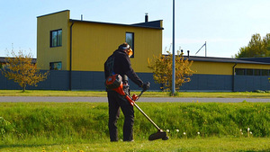 Muruniitmine/trimmerdamine (2 foto / 2)