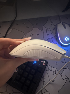 Razer hiir (3 foto / 3)