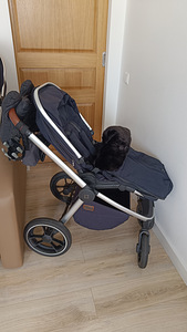 Müüa Moon ReSea S 2-in-1 laste vanker + Concord turvahäll (7 foto / 8)