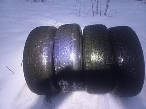 Ламели шины R18/60/225 Goodyear Ultragrip ICE (1 фото из 3)