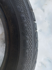 Naastrehvid R16/55/215 Gislaved nord Frost 5 (3 foto / 4)