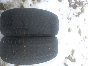 Lamell R17/50/225 Goodyear Ultragrip ICE 2 (1 foto / 5)