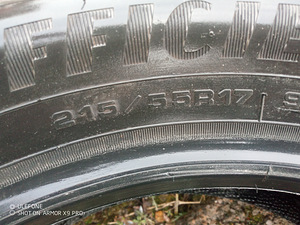 Летние шины R17/55/215 Goodyear Efficient Grip (2 фото из 4)