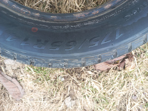 Naastrehvid R14/65/175 Minerva ECO STUD (2 foto / 4)
