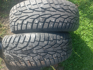 Naastrehvid R14/65/185 Nakang (1 foto / 3)