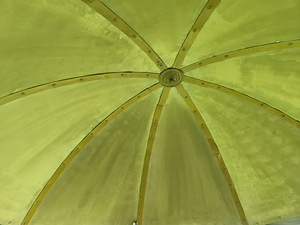 Sepistatud tõld (5 foto / 8)