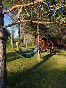 Kauksi, Alutaguse vald, Ida-Virumaa (15 foto / 20)