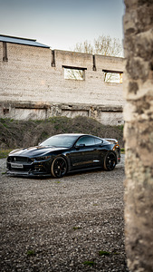 Ford Mustang GT (9 foto / 9)