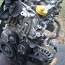 Bensiini turbomootor 1.2 TCe, kood H5F (foto #2)
