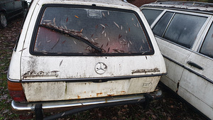 Mercedes benz ,s123 vasuosadeks (1 foto / 4)