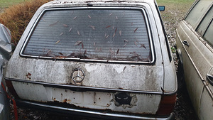 Mercedes benz ,s123 vasuosadeks (2 foto / 4)