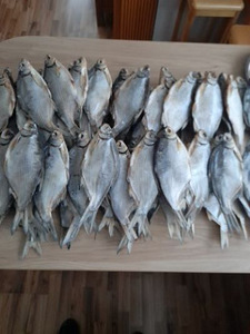 Продам свеже-вяленную рыбу (1 фото из 2)