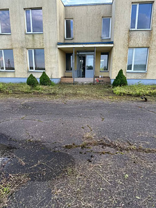 Professionaalne niitmine ja alade pesemine. (4 foto / 5)