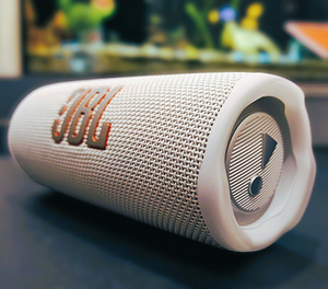 JBL FLIP 6. Белый (1 фото из 6)