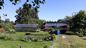 Müüa suvila Keila lähedal (1 foto / 15)