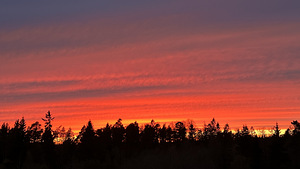 Koidu tn 83, Kunda, Viru-Nigula vald, Lääne-Virumaa (14 foto / 14)
