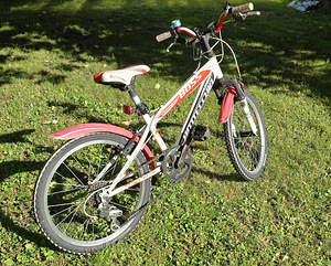 Bottecchia Boss 20 Hardtail (2 foto / 3)