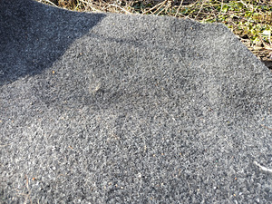 Vaip, matt, porivaip (3 foto / 4)