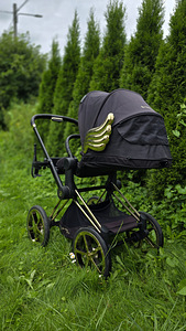 Cybex Priam Jeremy Scott Wings lapsevanker käru (2 foto / 3)
