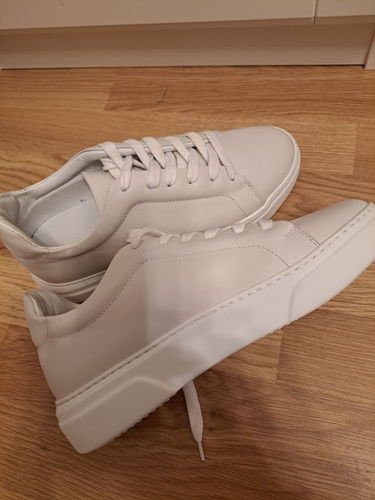 Pantofola d'Oro tennisekingad