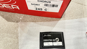 Edea Chorus uisud 245 C + Coronation Ace Lite uisuterad (5 foto / 6)