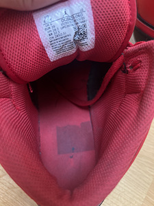 Air Jordan 1 (3 foto / 6)