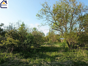 Harju maakond, Kuusalu vald, Salmistu küla, pedasaare tee 105 (4 foto / 19)