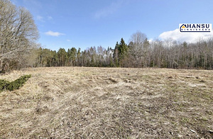 Intsu, Roobaka, Saaremaa vald, Saaremaa (11 foto / 29)