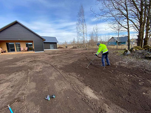 Muru, põõsaste, hekkide niitmine, puude lõikamine (7 foto / 9)