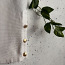 Блузка Ральфа Лорена размера XS (фото #4)