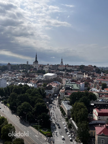 Переводчик