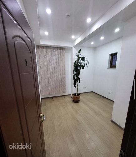 Բազմաֆունկցիոնալ (9)