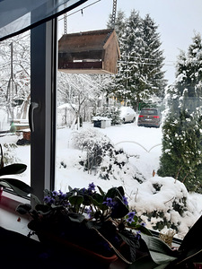Krund koos majaga aastaringseks elamiseks. (39 foto / 45)