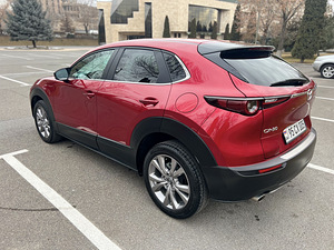 Mazda CX-30 (7 լուսանկար / 13)
