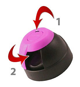 Pintyplus
