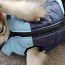 Куртка для собаки (фото #2)