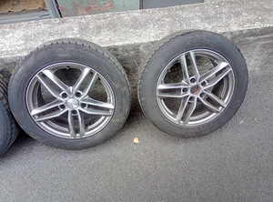 Naga uurs valuveljed rehvidegaR 16 (2 foto / 3)