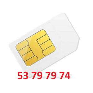 Lihtne-Cool-VIP telefoninumber (1 foto / 1)